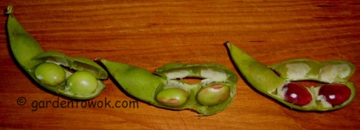 Black soy beans (5603)
