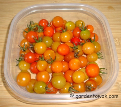 Chery tomatoes (5934)