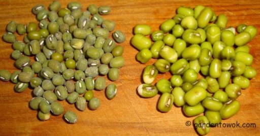 Mung beans (02298)