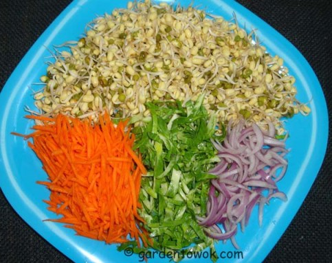 Mung beans sprouts (06239)