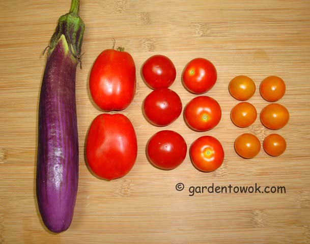 eggplant & tomato (06560)