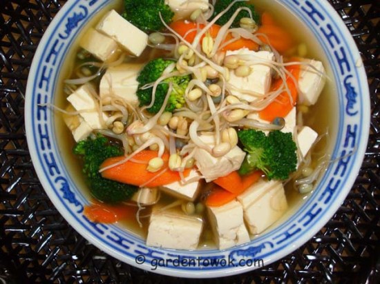 tofu vegetable soup