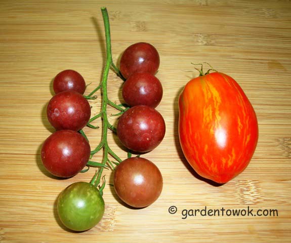 black cherry & speckled roma tomatoes (08060)